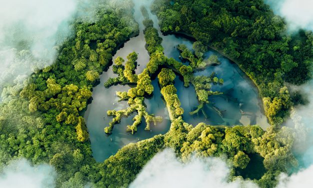 5 apps que te ayudarán a reducir tu huella de carbono