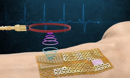 Ingenieros fabrican una piel que conecta tus constantes vitales al móvil sin Bluetooth
