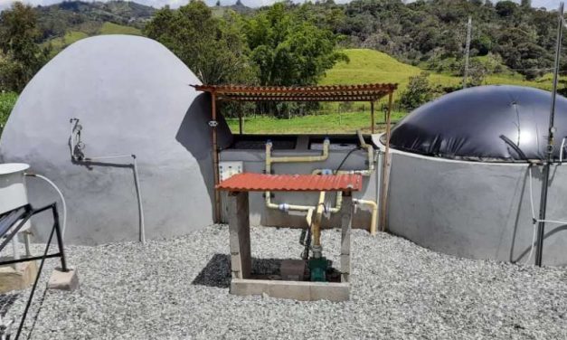 A partir de porcinaza se logra generar energía eléctrica en granja porcícola