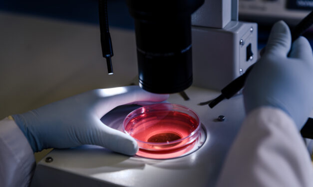 Una terapia con ingeniería genética podría evitar las complicaciones más graves del tratamiento de la leucemia