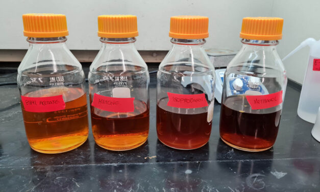 Bioaceite mejoraría combustibles de avión obtenidos con aceite de cocina usado
