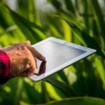Etiquetas inteligentes en alimentos: avances, aplicaciones y perspectivas en Colombia y Latinoamérica