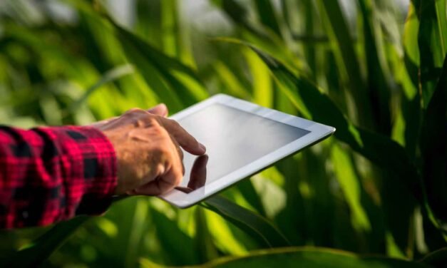 Etiquetas inteligentes en alimentos: avances, aplicaciones y perspectivas en Colombia y Latinoamérica