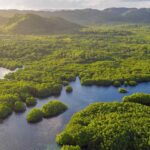 Incendios forestales y cambio climático: evidencia científica y señales para Colombia