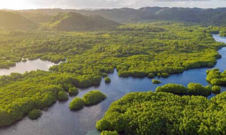 Incendios forestales y cambio climático: evidencia científica y señales para Colombia