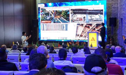 Salud en la infraestructura vial: experiencia japonesa en mantenimiento y prevención