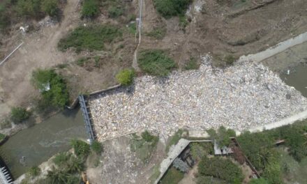 Contaminación plástica en costas y mares